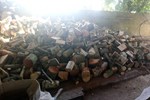 Log splitting for firewood