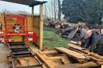 Timber Milling at the Yard