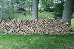 Garden clearance and firewood