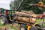Log removal and transportation in Woodbridge